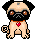 blackpuggue